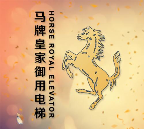 电梯安装：无底坑电梯解决别墅安装家用电梯难题